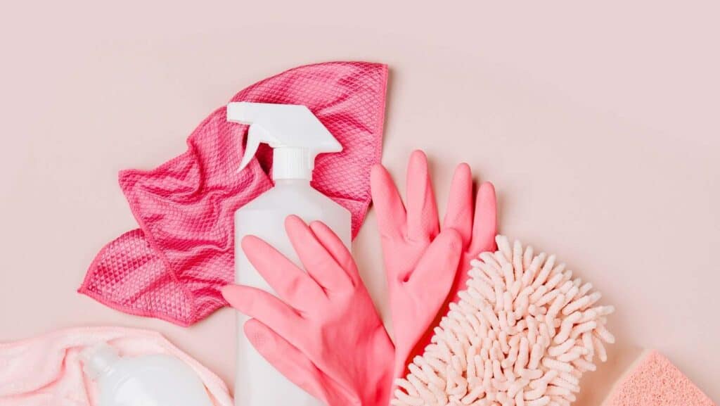 HOW TO CLEAN HOUSE FAST